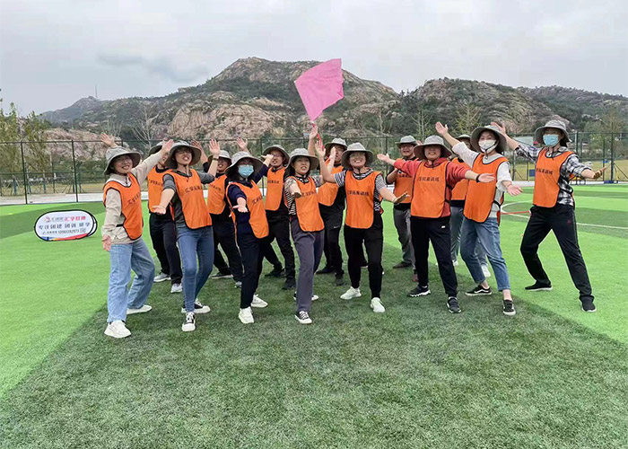 ά��������Ʒ��vic3308(�й�)�ɷ����޹�˾