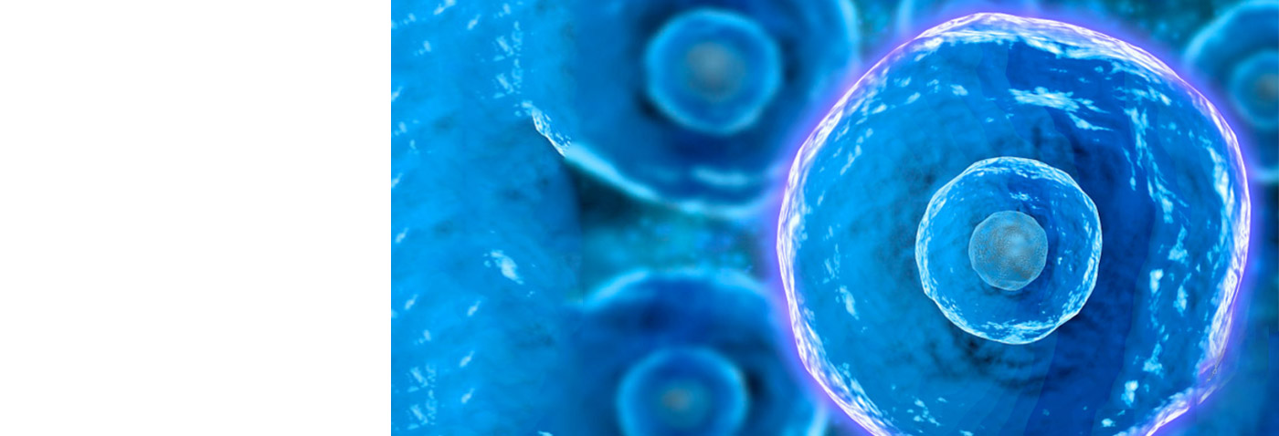 ά��������Ʒ��vic3308(�й�)�ɷ����޹�˾