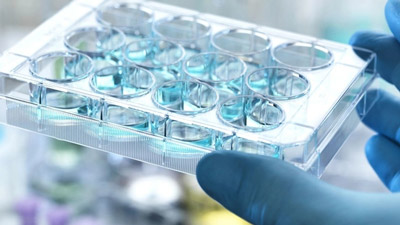 ά��������Ʒ��vic3308(�й�)�ɷ����޹�˾