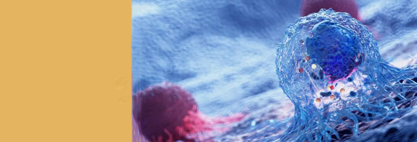 ά��������Ʒ��vic3308(�й�)�ɷ����޹�˾