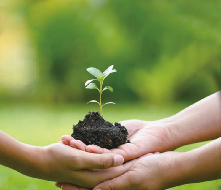 ��ɭ��ҩ����