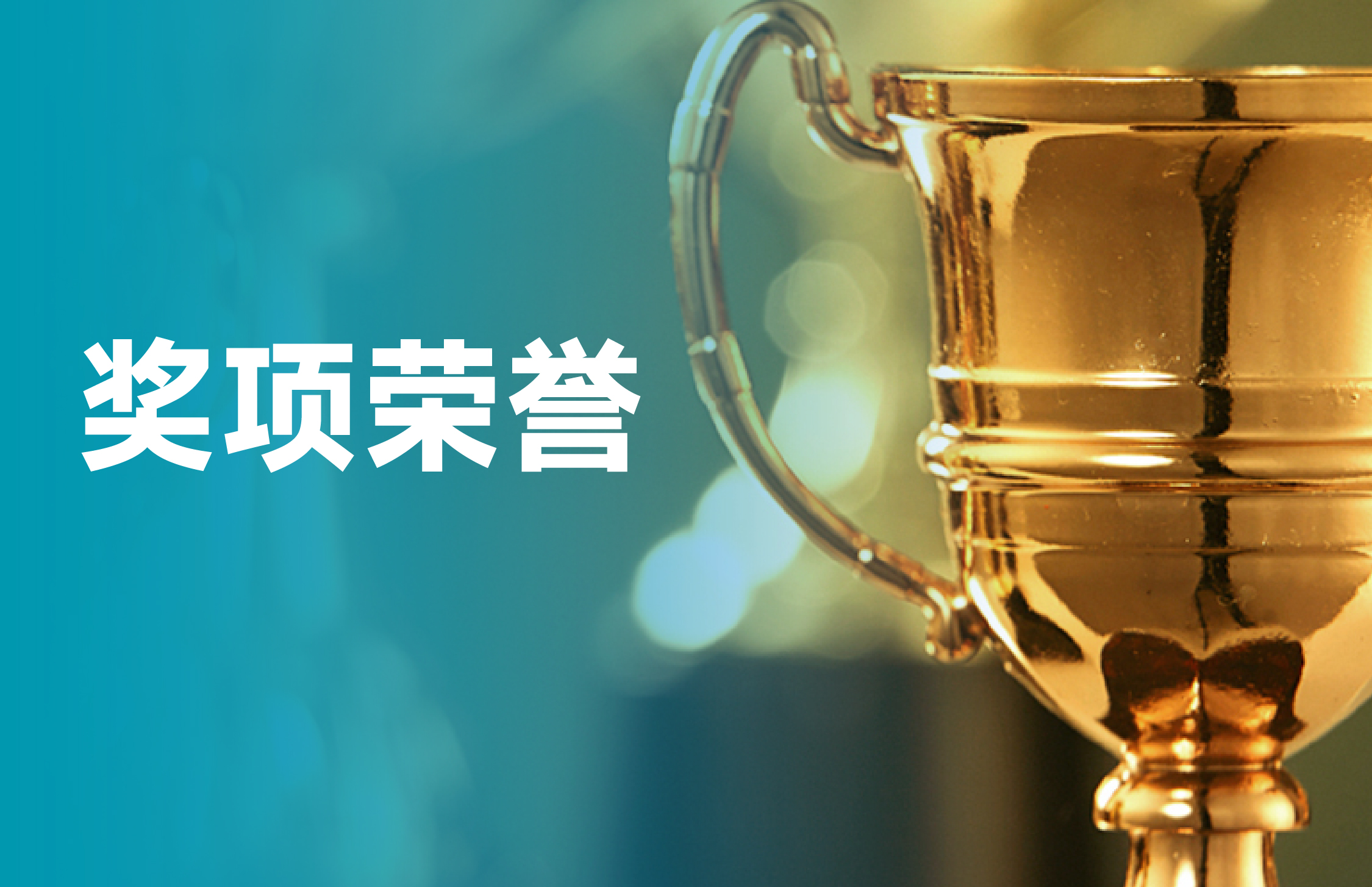 ά��������Ʒ��vic3308(�й�)�ɷ����޹�˾